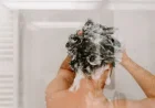 Shower dream meaning: Islamic interpretations and key signs explained