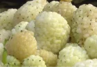 Mulberry dream meaning: Islamic interpretations, colors and key signs