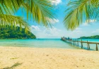 Sea Dreams in Islam: Power, Wealth, Knowledge and Relief Explained