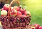 Dreaming of Apples in Islam: Color, Taste and Meaning Explained by Scholars