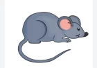 What does seeing a mouse in a dream mean? Rizq, theft and warning
