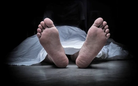 Death Dreams in Islam: Repentance, Travel, Rank and Relief Explained