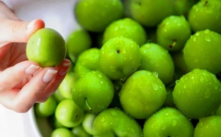 Dreaming of sour food in Islamic interpretation: sorrow and hardship