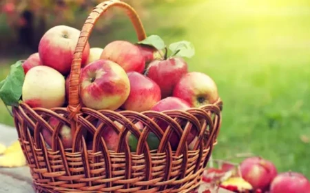 Dreaming of Apples in Islam: Color, Taste and Meaning Explained by Scholars