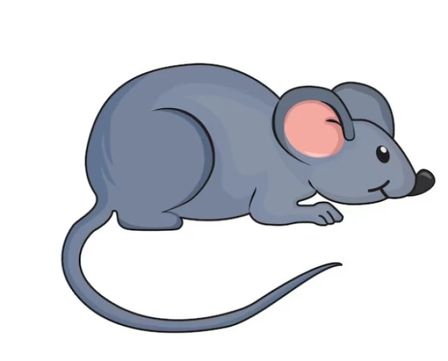 What does seeing a mouse in a dream mean? Rizq, theft and warning