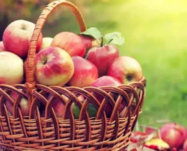 Dreaming of Apples in Islam: Color, Taste and Meaning Explained by Scholars