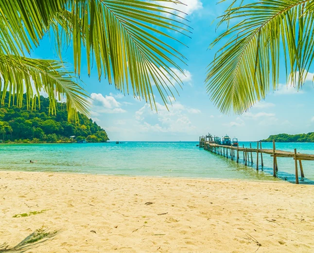 Sea Dreams in Islam: Power, Wealth, Knowledge and Relief Explained